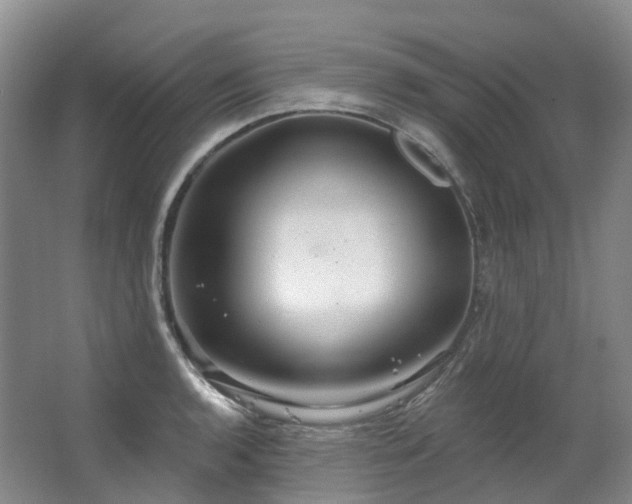 X0000063511136200601201432