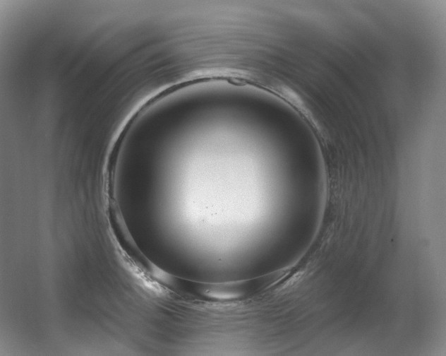 X0000063511140200601201432