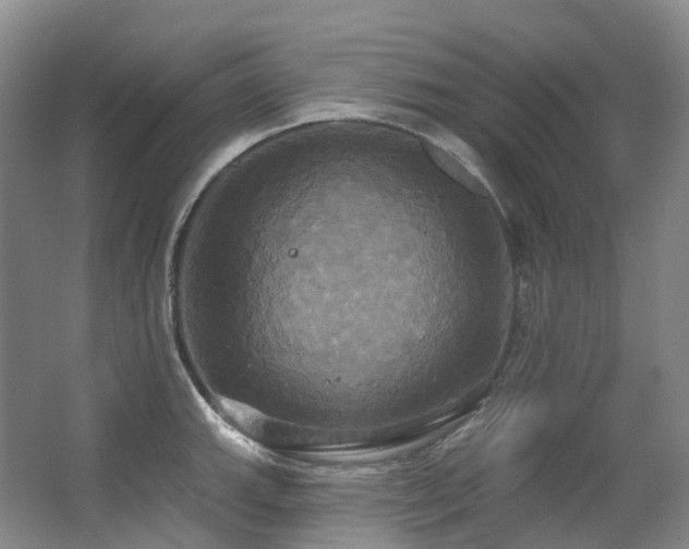 X0000063511143200601201432
