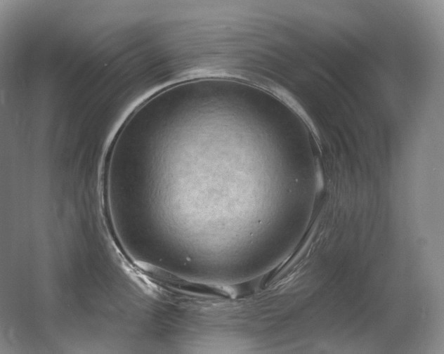 X0000063511148200601201432