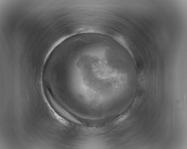 X0000063511149200601201432