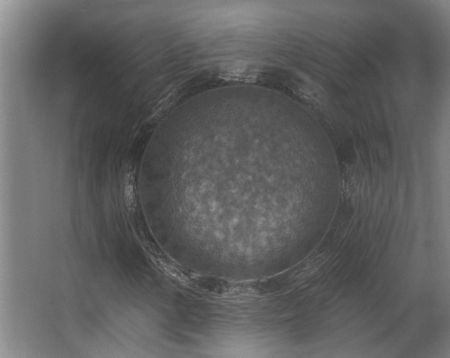 X0000063511154200601201431