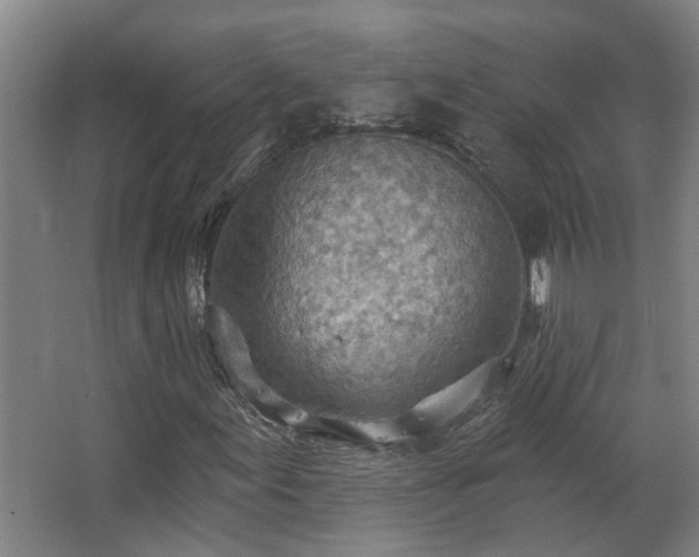 X0000063511155200601201431