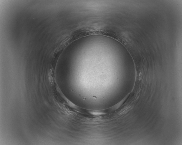 X0000063511156200601201431