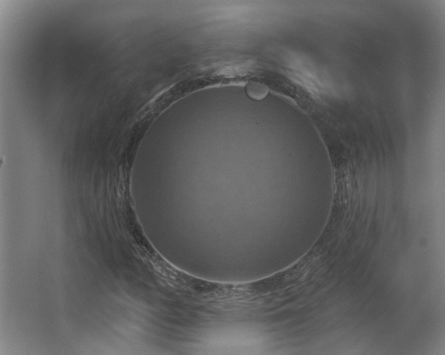 X0000063511158200601201431