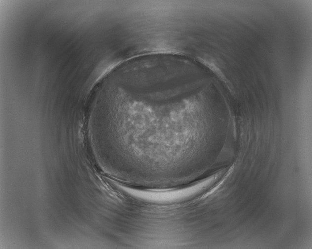 X0000063511163200601201431