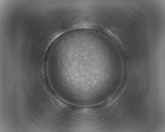 X0000063511166200601201431