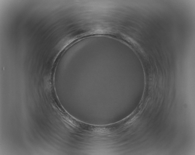 X0000063511170200601201431
