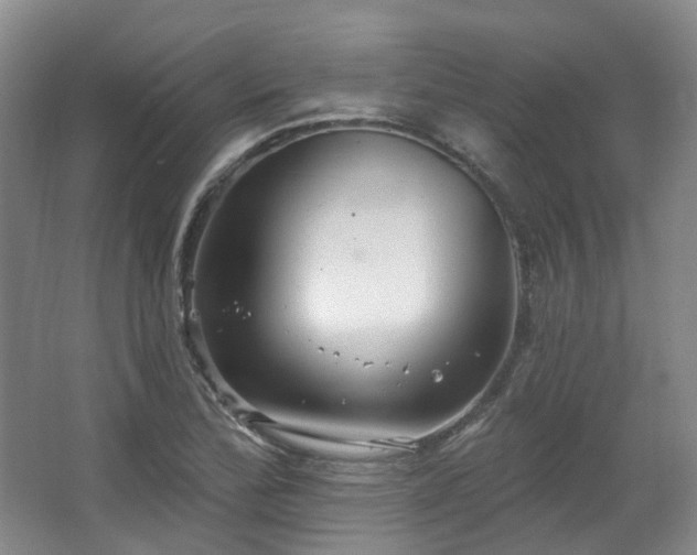 X0000063511172200601201431
