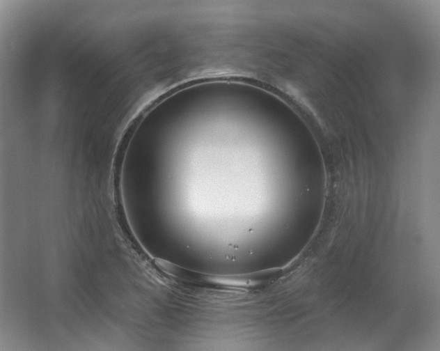 X0000063511173200601201431