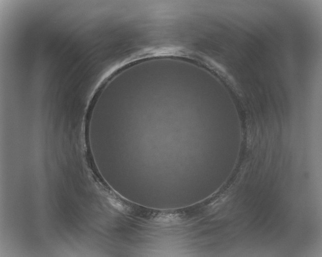 X0000063511174200601201431