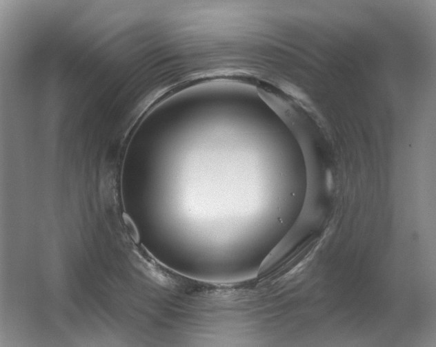 X0000063511177200601201431