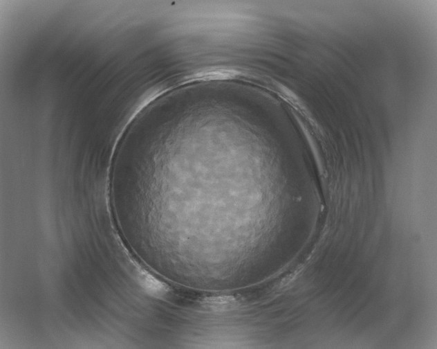X0000063511186200601201431