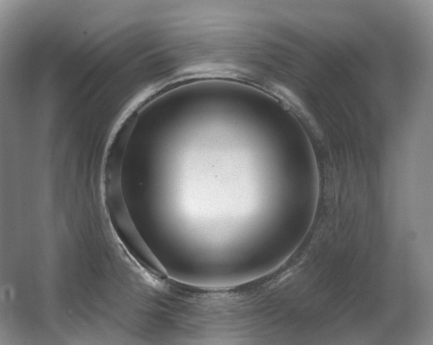X0000063511188200601201431