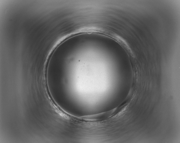 X0000063511192200601201431