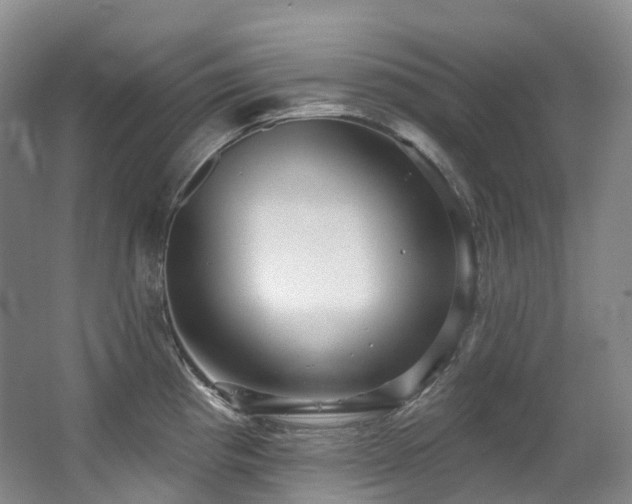 X0000063511193200601201431