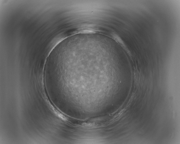 X0000063511194200601201431