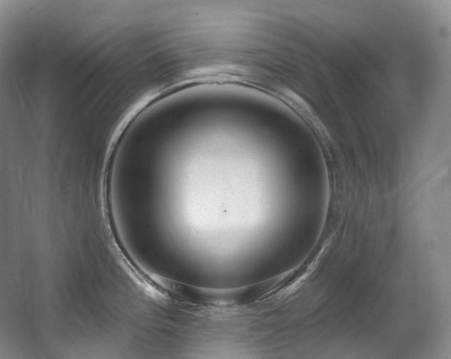X0000063511196200601201431