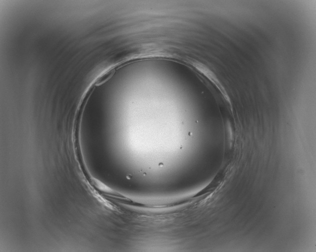 X0000063511197200601201431