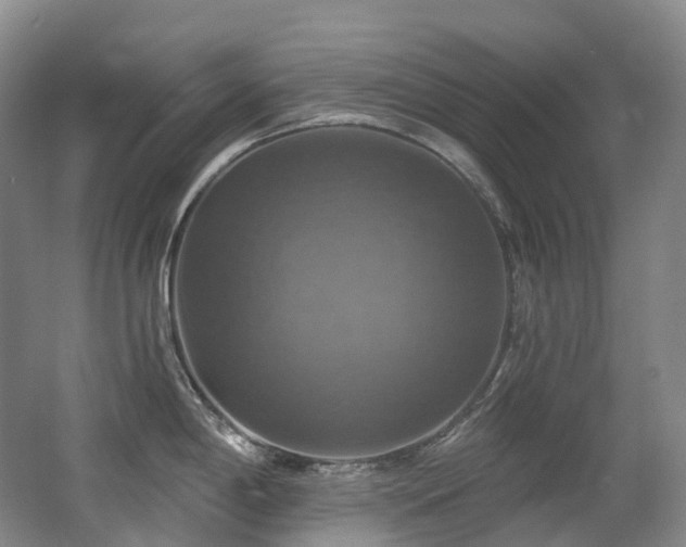 X0000063511198200601201430