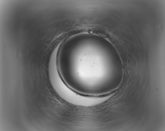 X0000063511206200601201430
