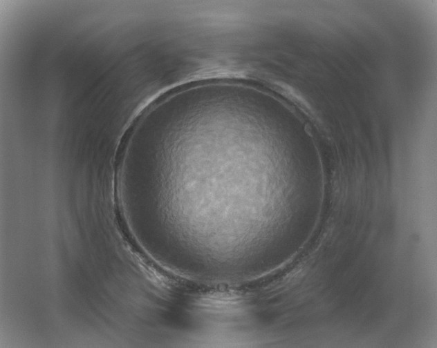 X0000063511220200601201430