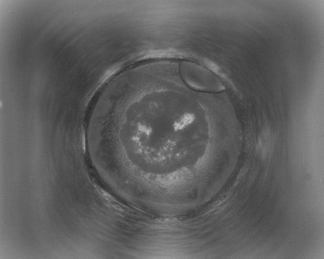 X0000063511221200601201430