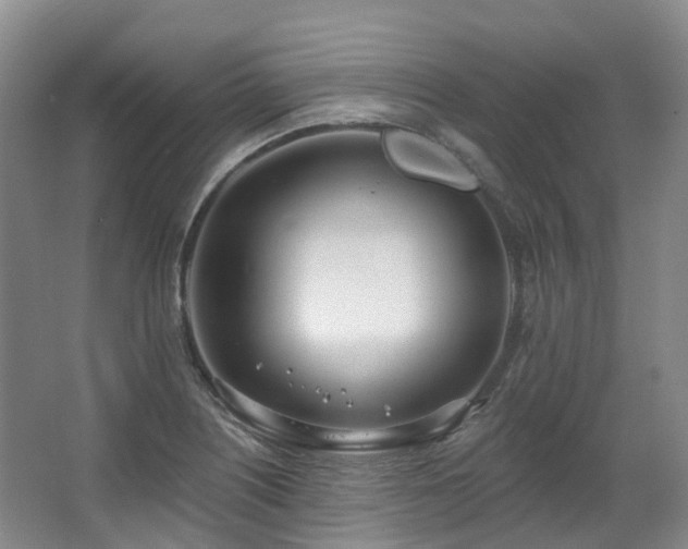 X0000063511226200601201430