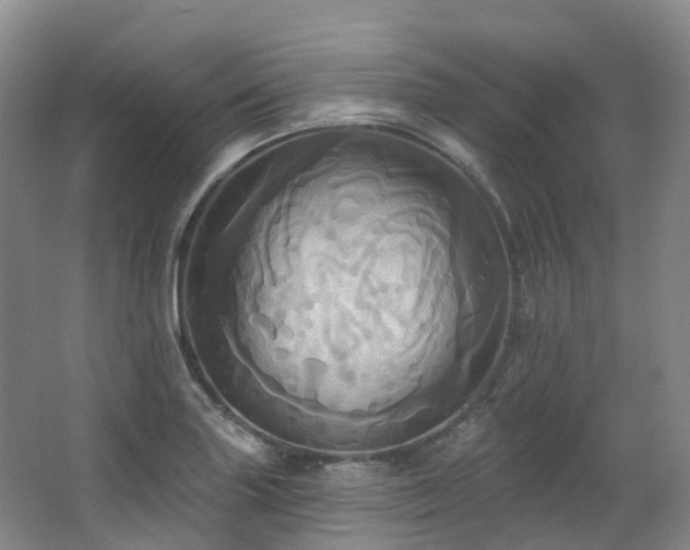 X0000063511227200601201430