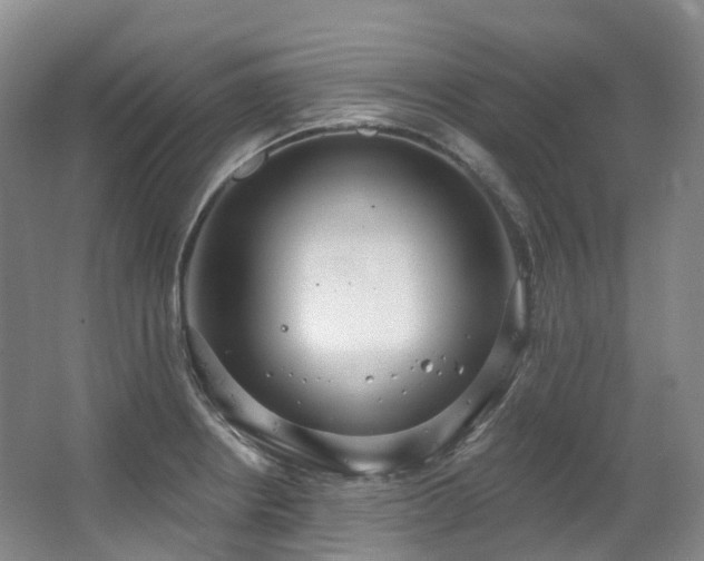 X0000063511234200601201430