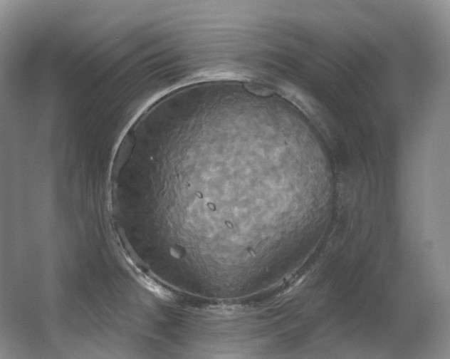 X0000063511236200601201430