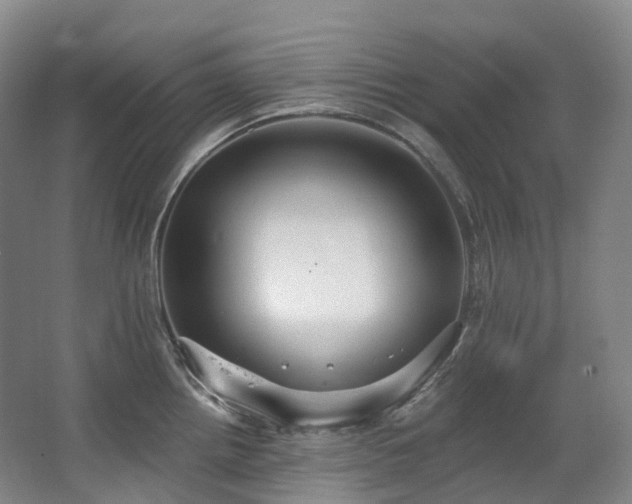 X0000063511242200601201430