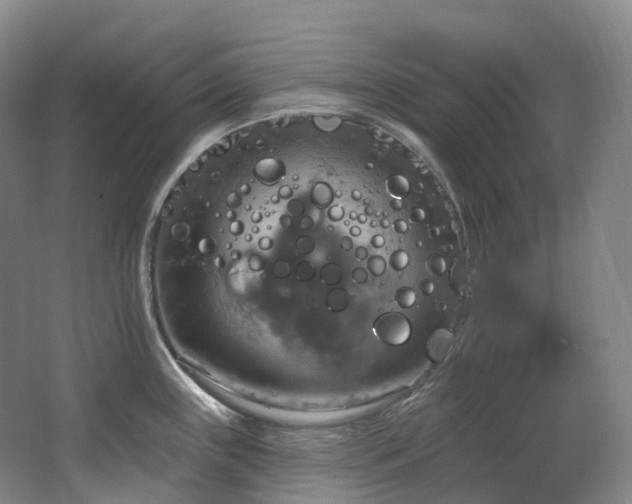 X0000063511243200601201430