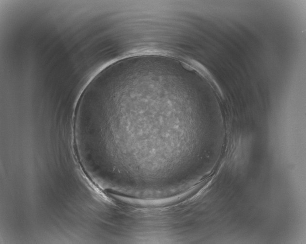 X0000063511244200601201430