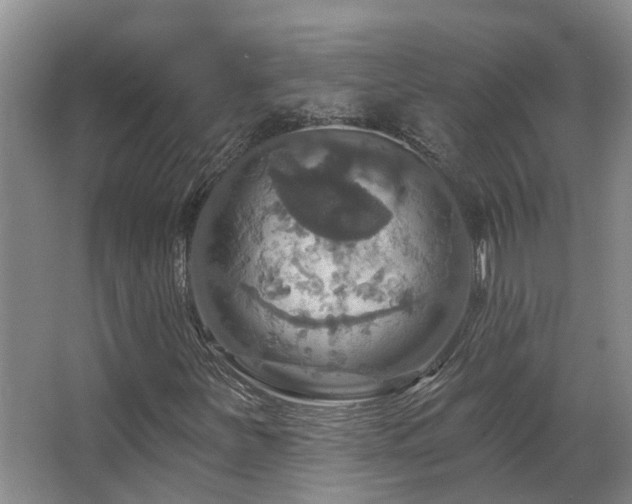 X0000063511251200601201430