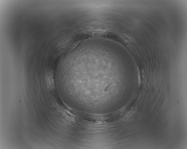X0000063511252200601201430