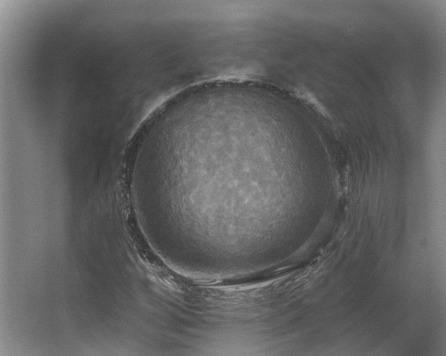 X0000063511256200601201430