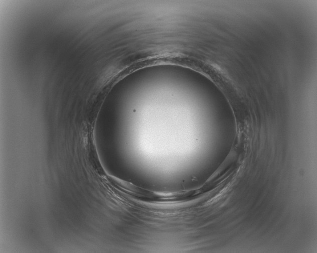 X0000063511257200601201429