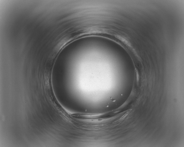 X0000063511273200601201429
