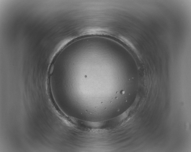 X0000063511277200601201429