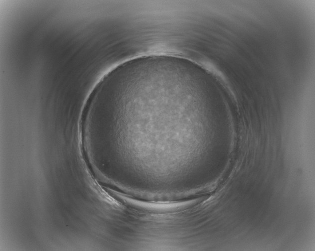 X0000063511280200601201429