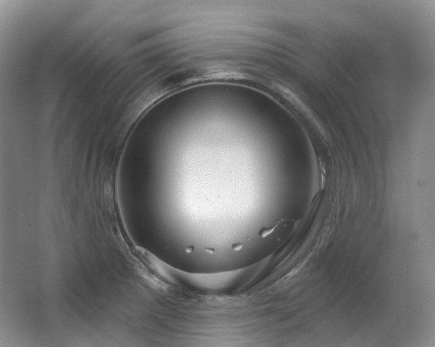 X0000063511281200601201429