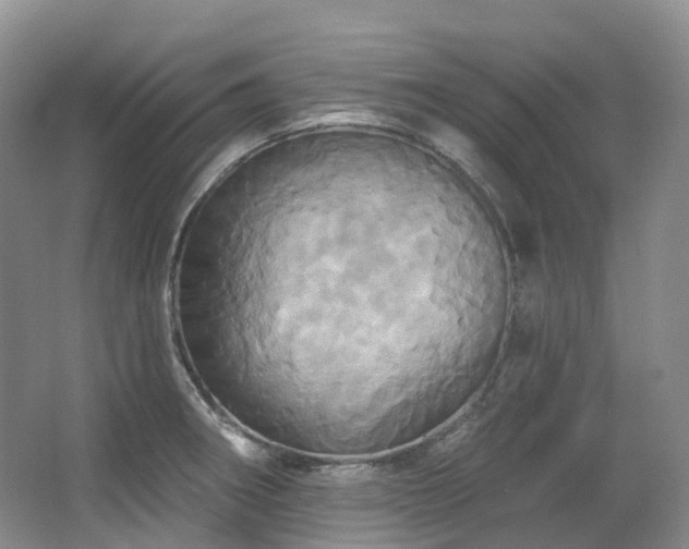 X0000063511282200601201429