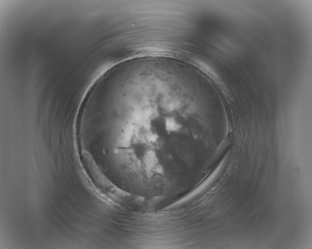 X0000063511283200601201429