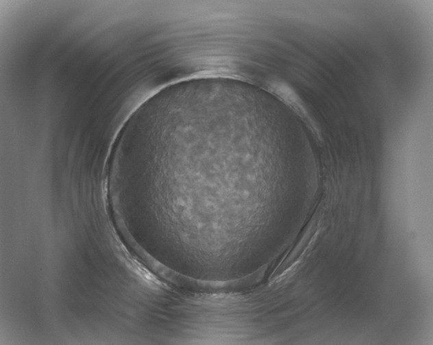 X0000063511284200601201429