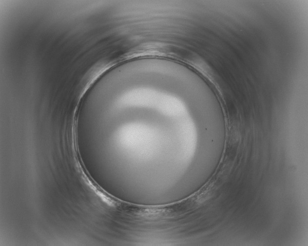 X0000063511290200601201429