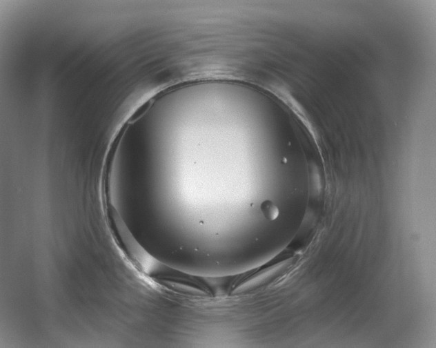 X0000063511293200601201429