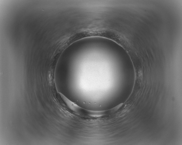 X0000063511300200601201428