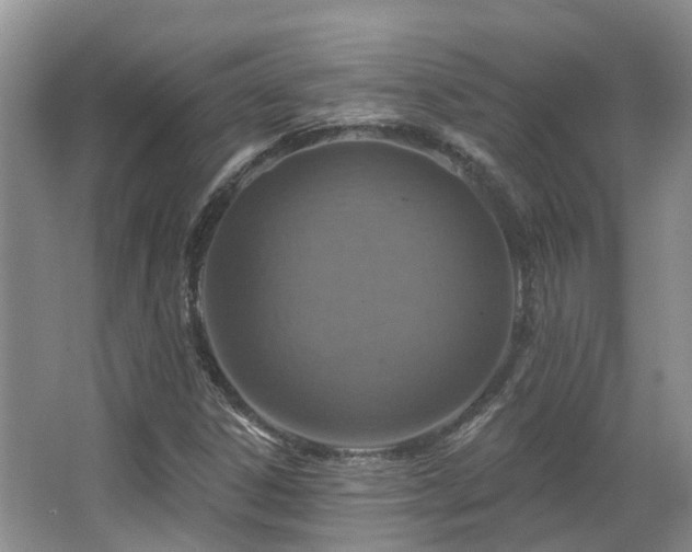 X0000063511306200601201428