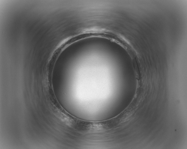 X0000063511315200601201428